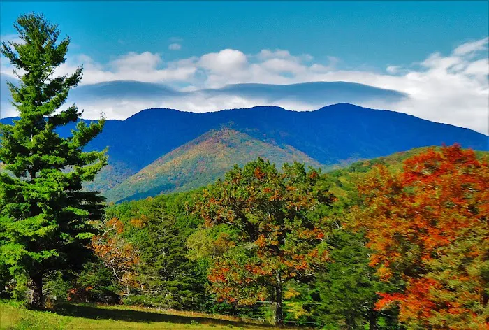 The Campground Rez Picture 8