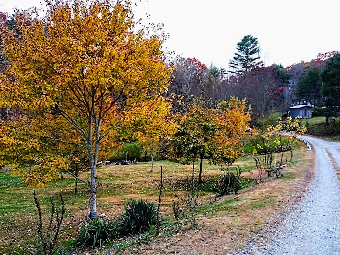 The Campground Rez Picture 9