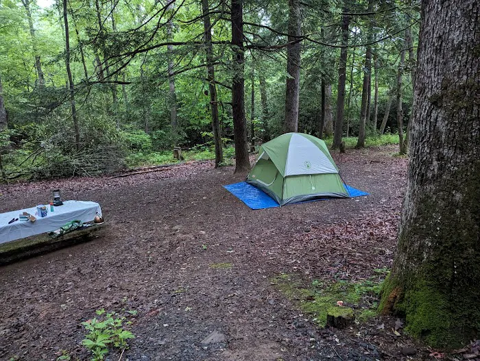Carolina Hemlocks Recreation Area Picture 8