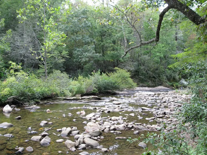 Carolina Hemlocks Recreation Area Picture 10