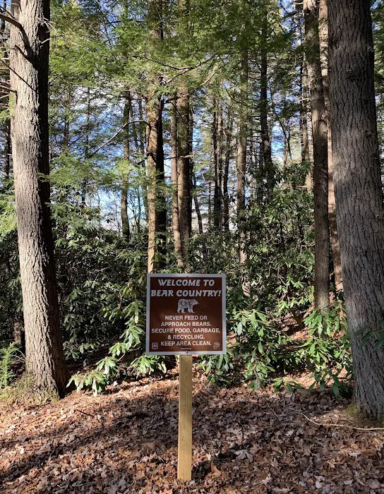 Carolina Hemlocks Recreation Area Picture 6