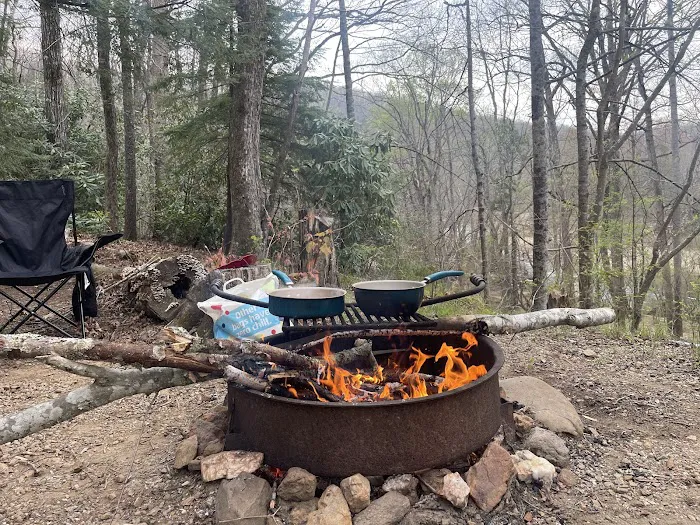 Carolina Hemlocks Recreation Area Picture 5