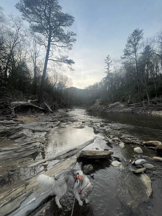 Carolina Hemlocks Recreation Area Picture 1