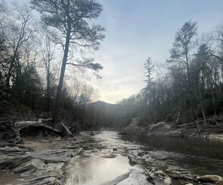 Carolina Hemlocks Recreation Area