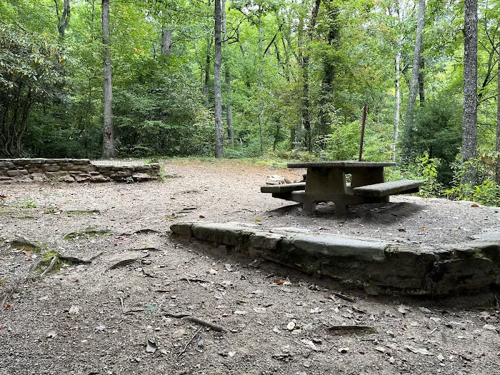 Carolina Hemlocks Recreation Area Picture 7