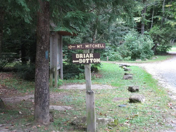 Black Mountain Campground/Briar Bottom Group Campground Picture 7