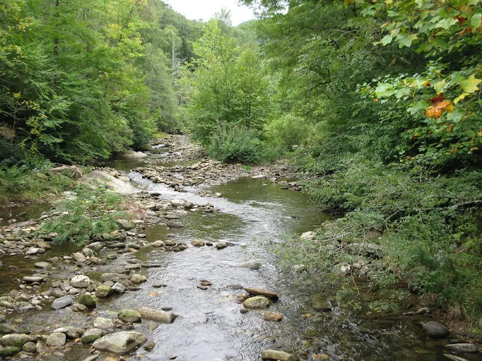 Black Mountain Campground/Briar Bottom Group Campground Picture 2