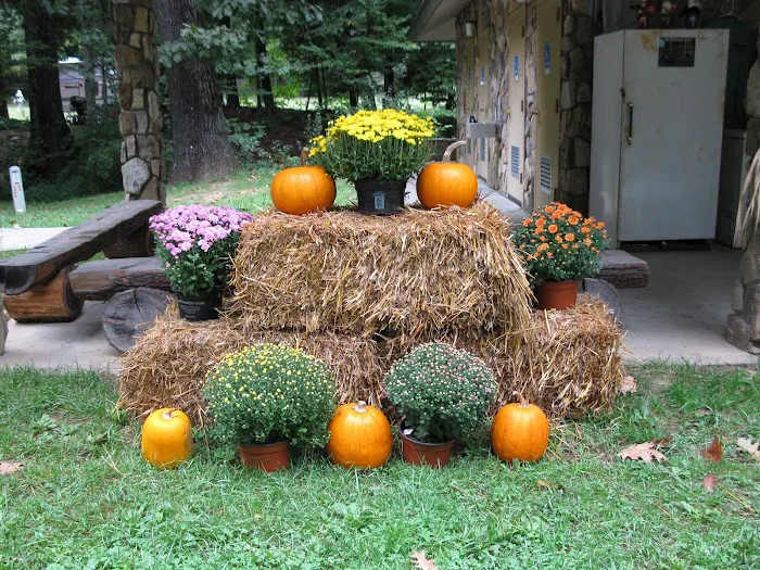 Black Mountain Campground/Briar Bottom Group Campground Picture 1