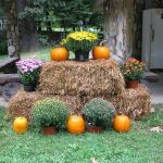 Black Mountain Campground/Briar Bottom Group Campground