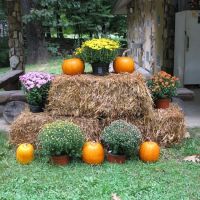 Black Mountain Campground/Briar Bottom Group Campground ico