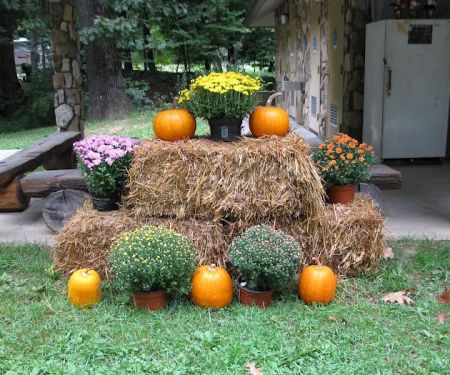 Black Mountain Campground/Briar Bottom Group Campground