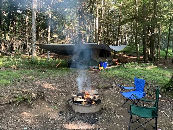 Black Mountain Campground/Briar Bottom Group Campground Picture 4