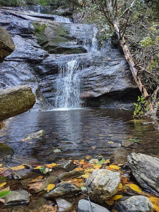 Black Mountain Campground/Briar Bottom Group Campground Picture 3