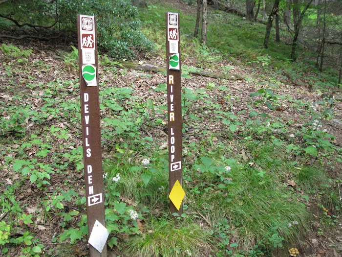 Black Mountain Campground/Briar Bottom Group Campground Picture 8