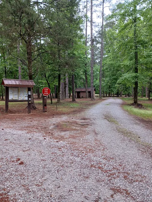 Collins Creek Seasonal Camp Picture 7