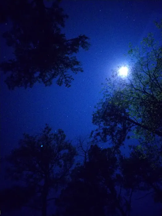 Collins Creek Seasonal Camp Picture 1