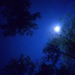 Collins Creek Seasonal Camp