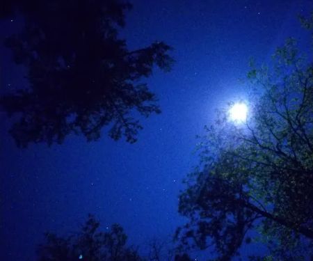 Collins Creek Seasonal Camp