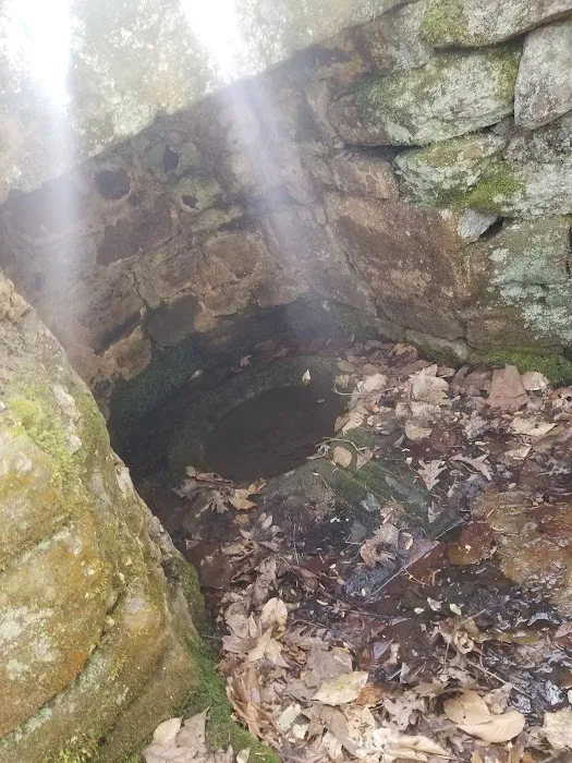 Collins Creek Seasonal Camp Picture 4