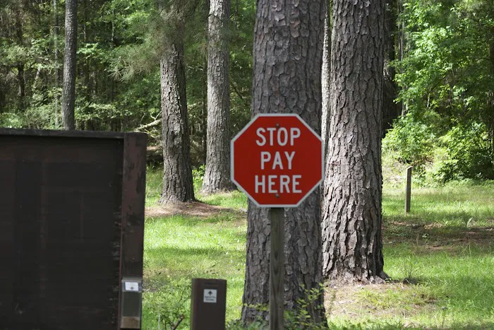 Rocky Branch Seasonal Camp Picture 1