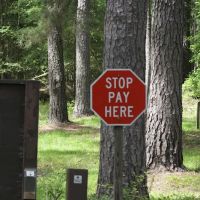 Rocky Branch Seasonal Camp ico