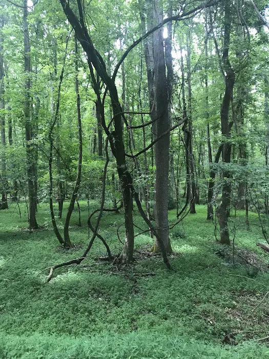 Rocky Branch Seasonal Camp Picture 4