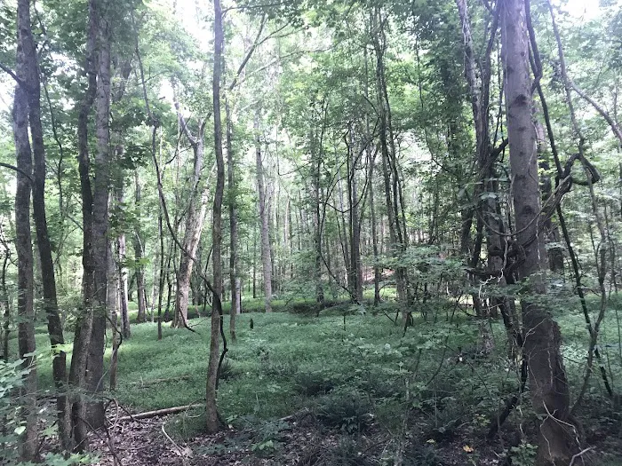 Rocky Branch Seasonal Camp Picture 7