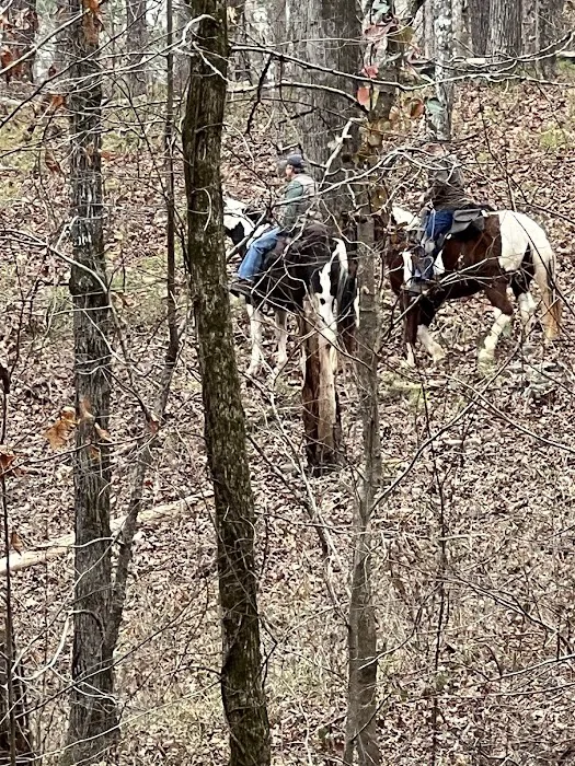 Buncombe Trailhead Parking Picture 7