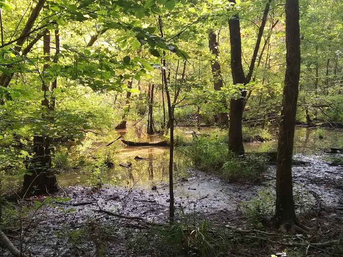 Buncombe Trailhead Parking Picture 4