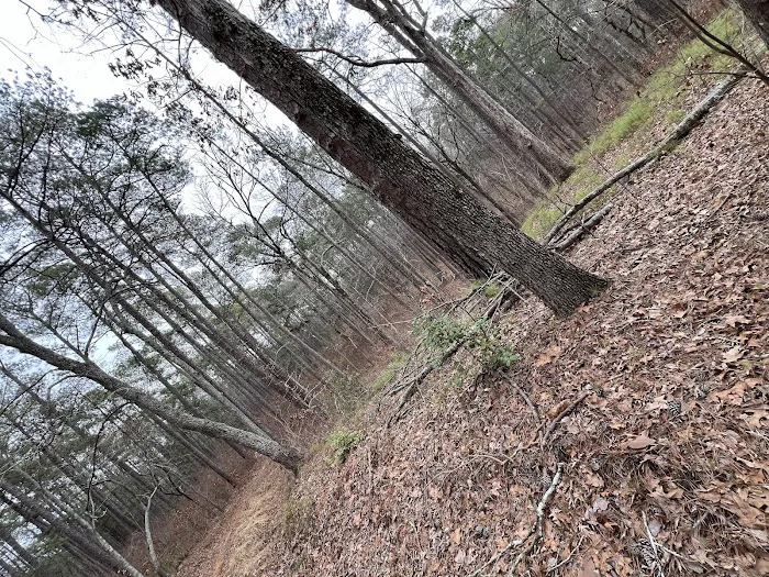 Buncombe Trailhead Parking Picture 3