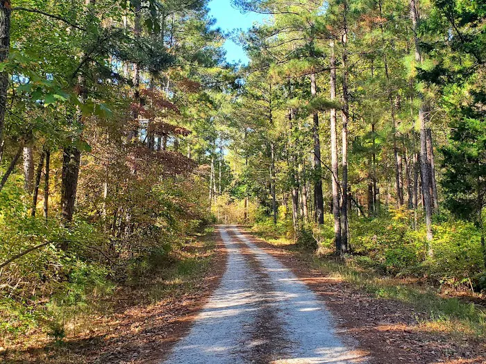 Brick House Campground Picture 2