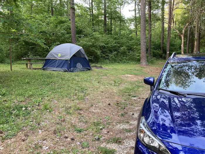 Brick House Campground Picture 9