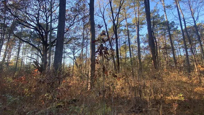 Brick House Campground Picture 3