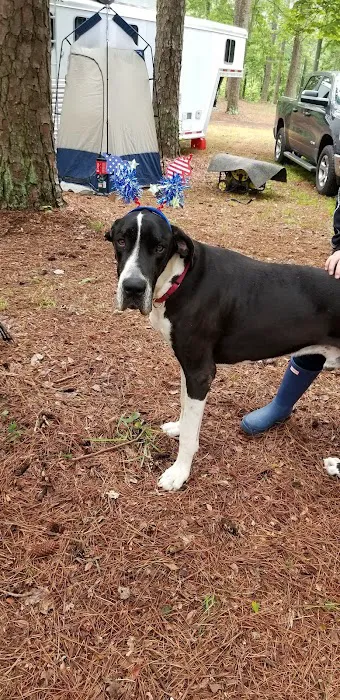 Brick House Campground Picture 5