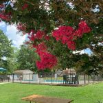 Newberry / I-26 / Sumter NF KOA Journey