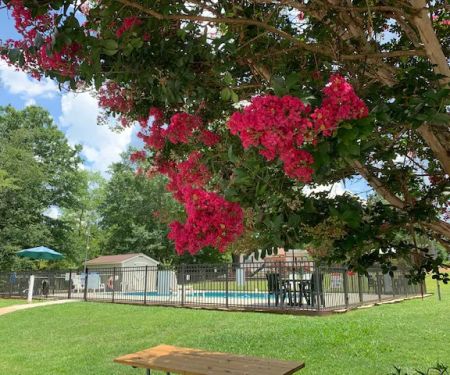 Newberry / I-26 / Sumter NF KOA Journey