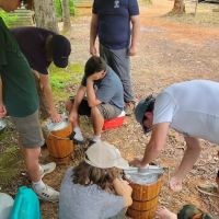 Museum Adirondack’s ico