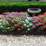 Travelers Rest / N Greenville KOA Holiday