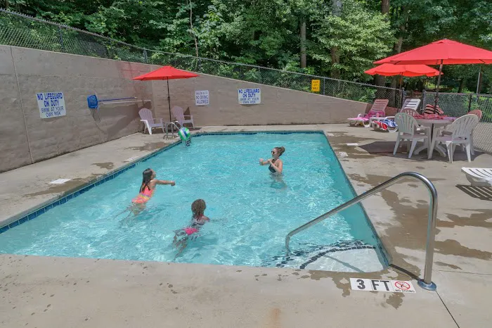 Travelers Rest / N Greenville KOA Holiday Picture 7