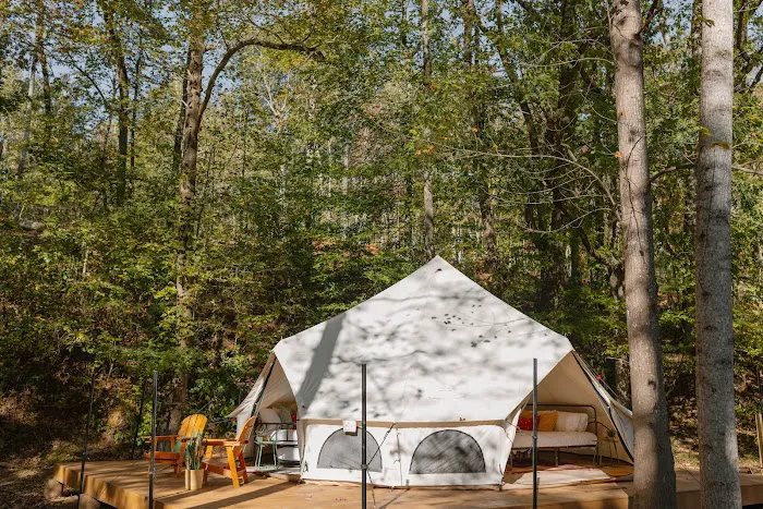 Field Trip Travelers Rest Picture 9