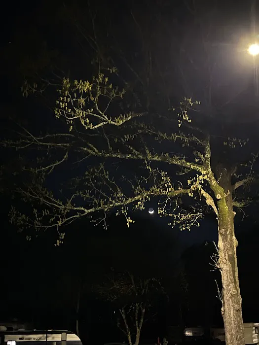 Springwood RV park Picture 2