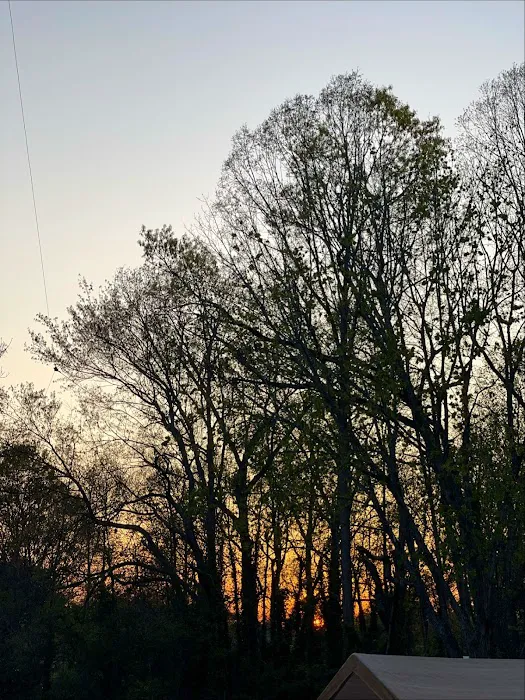 Springwood RV park Picture 6