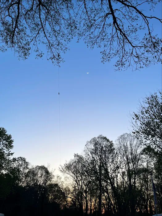 Springwood RV park Picture 4