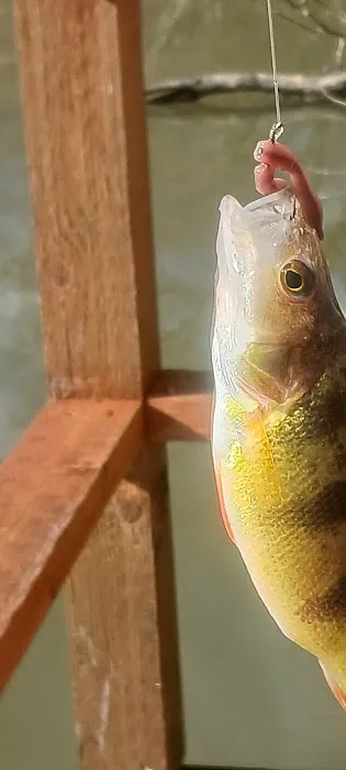 Boat House Picture 5