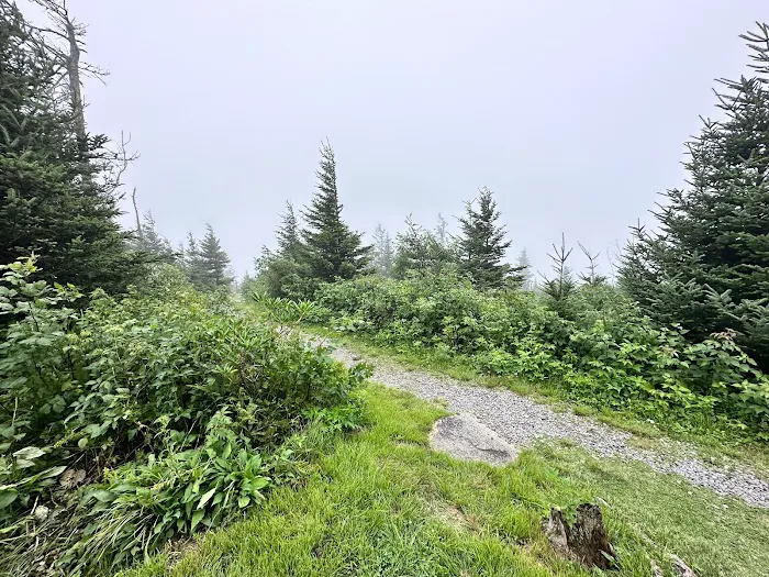 BearBrooke Cabin Picture 5