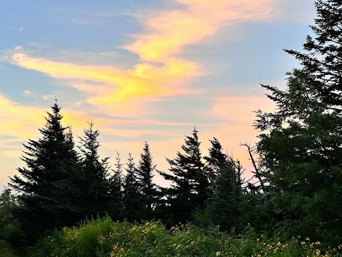 BearBrooke Cabin Picture 8