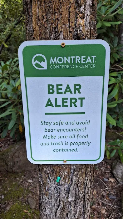 Montreat Campground Picture 3