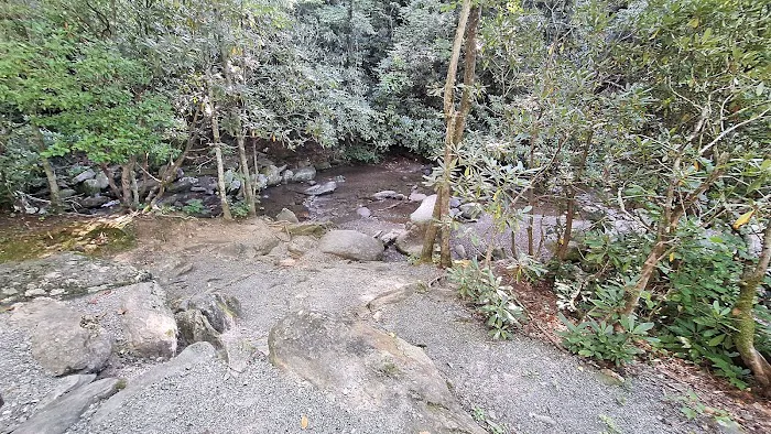 Montreat Campground Picture 5