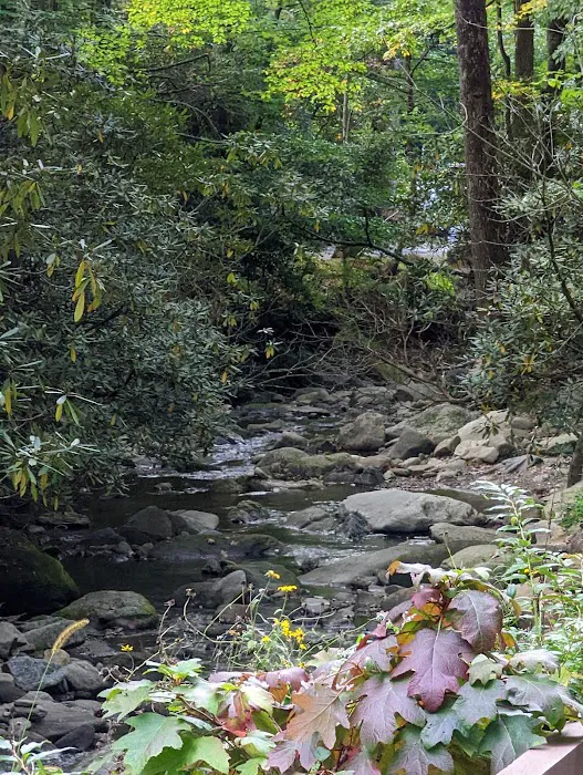 Montreat Campground Picture 9