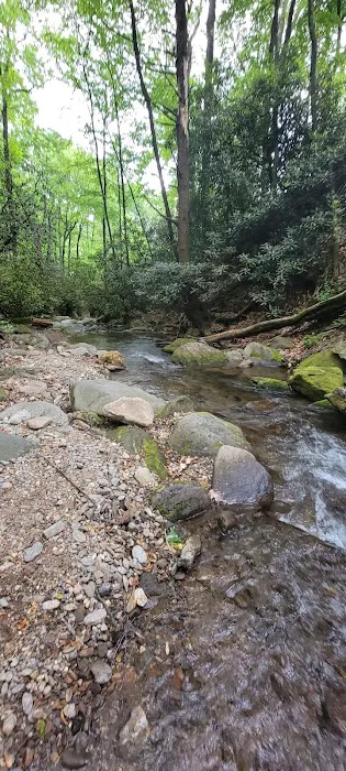 Montreat Campground Picture 8